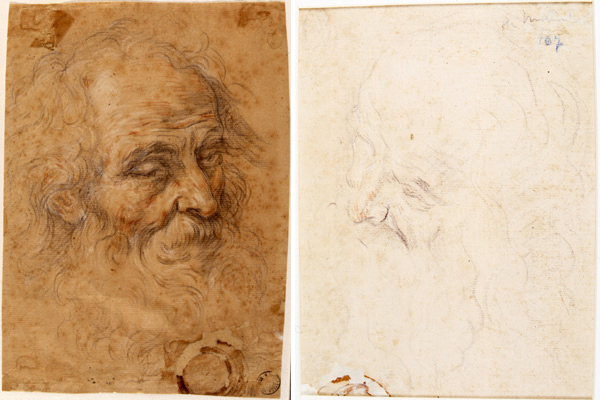 Milani Aureliano (attribuito)-Testa di vecchio barbato volta verso destra (recto) - Testa di vecchio barbato volta verso sinistra (verso)